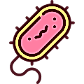 virus fumigation and sanitization service