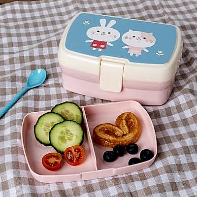 Lunch boxes for kids and adults