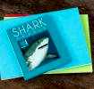 Sharks Slide Puzzle