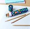 Long tube of colouring pencils - Fairies in the Garden