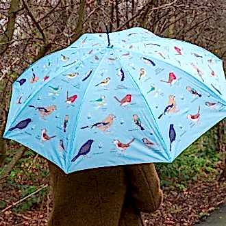 Light blue umbrella with print of garden birds used by person outside