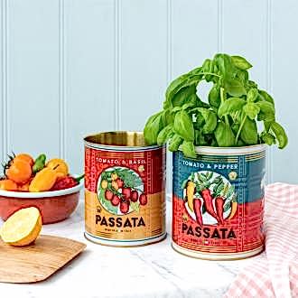 Passata metal storage tins, one containing a plant