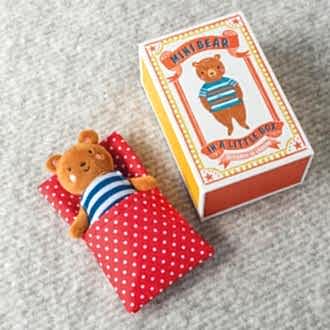 Mini-bear-in-a-little-house