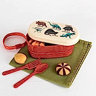 Prehistoric Land Bento Box