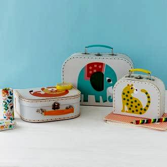 Wild Wonders Cases (set Of 3)