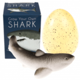 Sharks Giant Hatching Shark Egg