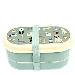 Children's bento box - Best in Show