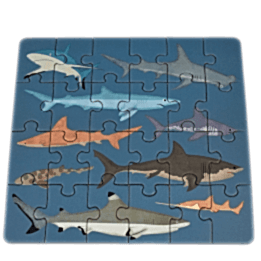 Mini jigsaw puzzle - Sharks