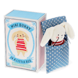 bunny-in-a-little-box
