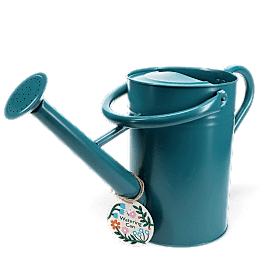 Galvanised steel watering can 4.5L - Blue