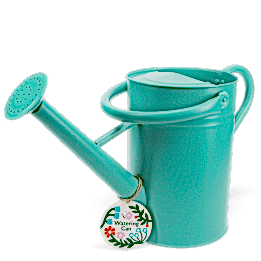 Galvanised steel watering can 4.5L - Aqua