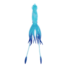 glow-in-the-dark-squid