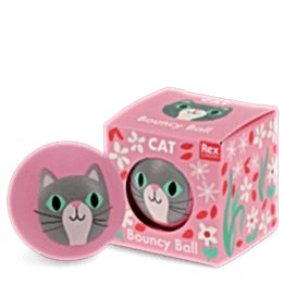 Pink bouncy ball with a cat face design next to its matching box