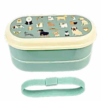 Best In Show bento box with elastic strap removed