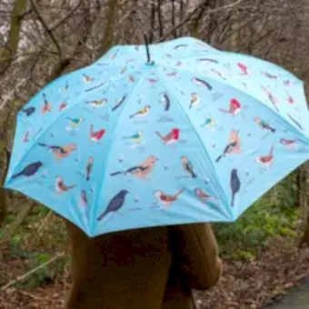 Light blue umbrella with print of garden birds used by person outside