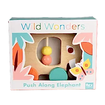 Wild Wonders push along elephant toy in box