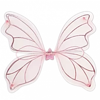 Fairies In The Garden Fairy Wings