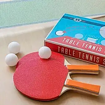 Wild Bear table tennis set and its box, set up on table