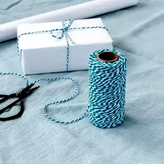 Aquamarine And White Baker's Twine