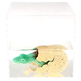 Giant hatching egg in container of water with dinosaur appearing
