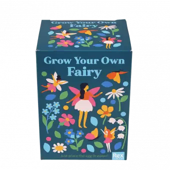 Fairies in the Garden grow your own fairy front of box