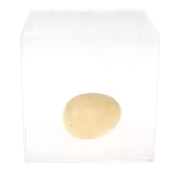 Giant hatching egg in container of water