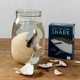 Sharks Giant Hatching Shark Egg