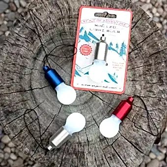 Spirit Of Adventure Light Bulb Keyring Assorted Colours