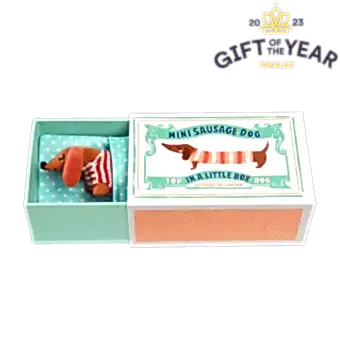 Mini Sausage Dog In A Little Box