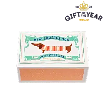 Mini Sausage Dog In A Little Box
