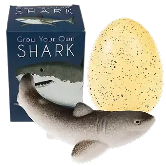 Sharks Giant Hatching Shark Egg