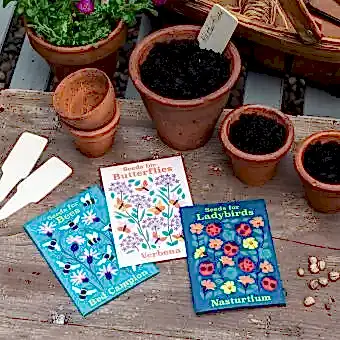 Nature Seed Collection Assorted (single)