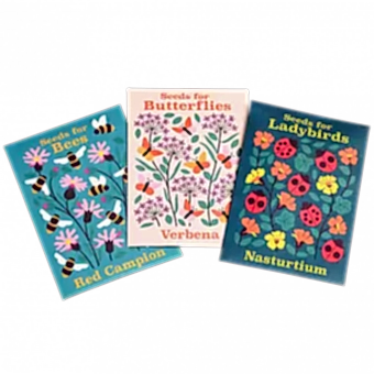 Nature Seed Collection Assorted (single)