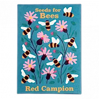 Nature Seed Collection Assorted (single)