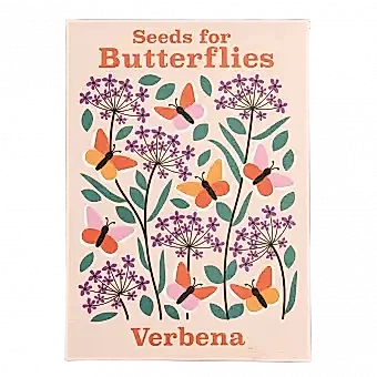 Nature Seed Collection Assorted (single)