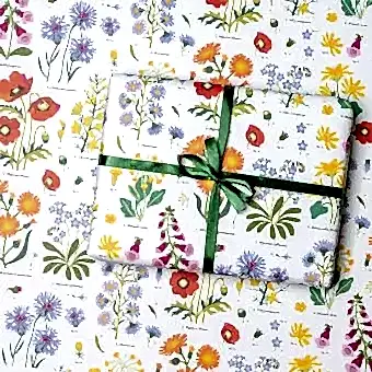 Wrapping Paper (5 Sheets) - Wild Flowers