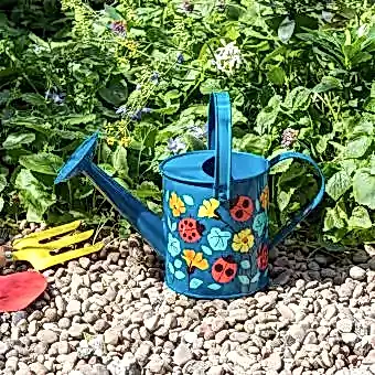 Watering Can - Ladybird