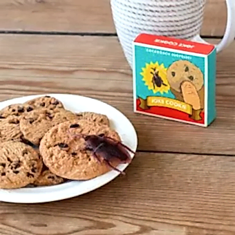 Joke Cookie - Classic Jokes