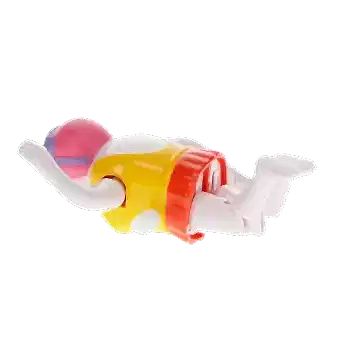 Wind-Up Swimming Figurine