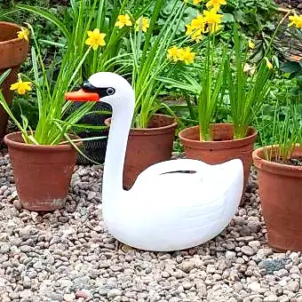 Watering can (2 ltr) - Swan
