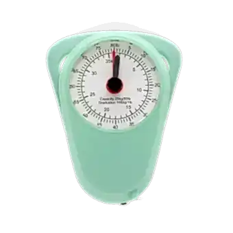 Travel scales - Pistachio green