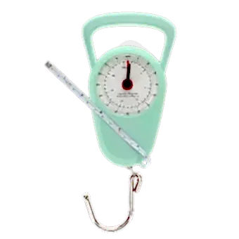 Travel scales - Pistachio green