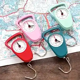 Travel scales with tape measure