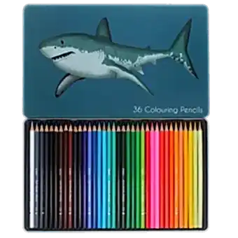 Shark 36 colouring pencils in tin