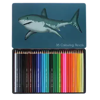36 colouring pencils in a tin - Sharks