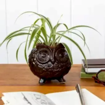Owl planter