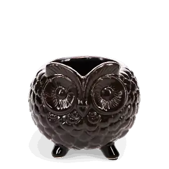 Owl planter