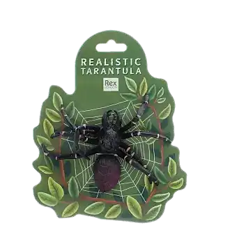 Realistic tarantula toy