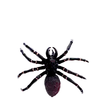 Realistic tarantula toy