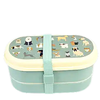 Children's bento box - Best in Show